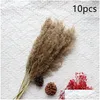 Dekoratif Çiçek Çelenkleri 1020pcs Vazo Düğün Dekorasyon Pampas Çim Flores Secas Kurutulmuş Parti DeKoration Fleur Articiell Dhsik