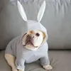 Dog Apparel Pretty Knitted Pet Dogs Sweater Outfit Mild To Skin Kitten Hoodie Clothes For Daily Wear