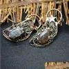 Pendant Necklaces Long Natural Stone Quartz Necklace Antique Copper Wire Wrap Pendum Big Labradorites Grey Moonstone Pendants Crysta Dh2Oz