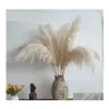 Decorative Flowers Wreaths 80Cm Nagaho Natural Reed Dried Flower Big Pampas Grass Bouquet Wedding Ceremony Decoration Modern Home Dhqh2