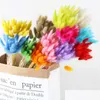 Couronnes de fleurs décoratives 30 pièces/lot Lagurus Ovatus naturel séché Colorf queue herbe véritable bouquet de fleurs pour la décoration de mariage à la maison Dhmer