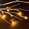 Strings Birchlitland Birch Garland Lights 48 LED a batteria - Ramoscello di vite illuminato per la decorazione del camino Uso interno ed esterno