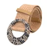 Cinture Cintura da donna in paglia intrecciata elasticizzata elasticizzata a vita larga per abiti con fibbia da campeggio
