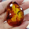 Pendant Necklaces Natural Bloods Insect Amber Random Shape Ant Ambers Original Stone Charms With Rope Chain Necklace Lucky Amet Gift Dhtfh