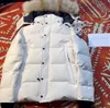 Cappotto da uomo giacca di grandi dimensioni antivento impermeabile cappello peluche pelo di lupo