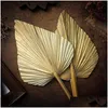 Decorative Flowers Wreaths 4Pcs Dried Palm Leaves Fans Bohemian Spears Artificial Plants Tropical Drop Delivery Home Garden Festiv Dhvjw