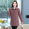 Femmes fourrure maman vêtements d'extérieur automne hiver épaissir Grain ajouter velours manteau femmes mode taille 5XL moyen long manteaux dames agneau Trench