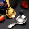 Stainless Steel Short Handle Spoon Mini Ice Cream Watermelon Spoons Milk Powder Honey Spoons Children Scoop Kitchen Tableware BH6836 TYJ