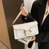 Altre borse Moda firmata Tessuto jacquard classico Stile Pelle martellata lucidata Borsa a tracolla Tabby 26 Lettering color oro ascella di alta qualità