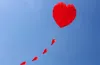 Kites Outdoor Fun Sports Love Heart Software Kite con strumenti di volo facili da volare 0110