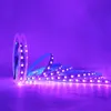 5M DC 12V 24V RGBCCT LED Strip Light 5050 RGB & 2835 Cool White & Warm White SMD IP20 Non-waterproof Flexible Strip Ribbon