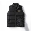 Gilet da uomo e da donna Senza cappello Giacca senza maniche Imbottito in cotone Autunno Inverno Cappotti casual Gilet maschile Scaldamuscoli Marchio di moda europeo americano