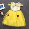 Meisje jurken baby zomerkleding feestjurk voor verjaardag cosplay pure prinses Halloween kerstdag klasgenoot 2-6y