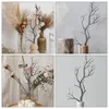 Decoratieve bloemen takesdecoratieve kunstmatige gedroogde twijgen boomdecorstokken vaas manzanita stengels vertakking bloem wilg droge levensduurachtig