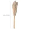 Decorative Flowers Wreaths 100Pcs Wedding Pampas Grass Large Size Fluffy For Home Christmas Decor Natural Plants White Dried Flowe Dhapg