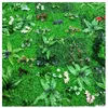 Decorative Flowers Artificial Green Plants Outdoor Lawn Plastic Plant Wall Wedding Background Ornament Garden El Home Decoration