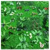 装飾的な花人工植物壁芝生プラスチック屋外カーペット装飾結婚式の背景ガーデンホームカスタマイズ