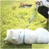 犬の襟のリーシュ4サイズのペットトレーニングリーシュカラーキャッツハーネス付き耐久性ペット牽引ロープS/M/L/XLドロップデリバリーDHMVP