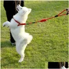 Hondenkragen ontleent 4 maat Pet training Leibele kraagkatten honden met harnas duurzame huisdieren tractie touw s/m/l/xl drop levering home dhmvp