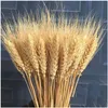 Decorative Flowers Wreaths 100Pcs Wedding Pampas Grass Large Size Fluffy For Home Christmas Decor Natural Plants White Dried Flowe Dhapg