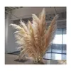 Couronnes de fleurs décoratives 100pcs mariage pampas herbe grande taille moelleux pour la maison décoration de Noël plantes naturelles blanc séché flowe Dhapg