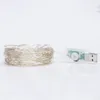 Cordes 5M 50LEDs 16 Couleurs Télécommande USB Alimenté LED Guirlande Lumineuse Pour La Décoration D'arbre De Noël