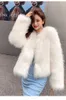 Women's Bur Young Models of Imitation Raccoon Outerwear For Winter 2023 Black Keep Warm Style Fashion Coat Women Y857