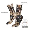 Men's Socks Labrador Sock Men Women Polyester Stockings Customizable Funny