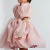 Girl Dresses Princess Vintage Dress Tulle Child Vestido Puff Sleeve Pink Wedding Party Birthday Tutu Clothes 2-10Y