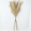 Flores secas 5 piezas Faux Pampas Grass grande 110 100 85 cm ramo de flores decoración artificial falsa tallos esponjosos altos decoración para sala de estar 230111