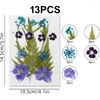 Dekoratif çiçekler doğal bitki kurutulmuş pres yapraklar set kuru çiçek yaprağı pres gepreste blumen diy tırnak sanatı reçine mücevher çerçeveleri
