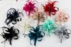 Pinces à cheveux Barrettes Paris Filles Plume Coiffe Fleur Sinamay Broche Clip Femme Élégant Spectacle De Danse Robe De Soirée Chapeaux Accessoires 230112