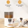 Cat Bowls matare 4L -knapp Smart Automatisk husdjursmatare med rostfritt stål Timing Voice för hund Auto Matning Dry Food Dispenser 230111