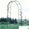 Décoration de fête Arche de mariage en fer Décoratif Jardin Toile de fond Pergola Stand Cadre de fleurs pour mariage Anniversaire DIY Drop Livraison Hom Dhmvw