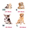 Hundehalsbänder, Nylon-Haustierhalsband, personalisiertes individuelles Namensschild, ID-Tag, Zubehör, Leine, klein, mittelgroß, groß