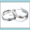 Hoop Huggie Donne Circar Colore Orecchini Gioielli Lady Tipo C Opale placcato Sier Orecchino di dichiarazione di moda 2 7Hj J2 Consegna a goccia Je Dhrfg