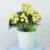 Fiori decorativi Bellissimo vaso simulato Riprese Prop Bonsai finto Piante artificiali Nessun taglio