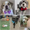 Cat Costumes Wholesale Adjustable Dog Bow Tie Neck Pet Puppy Bows Collar For Kitten Accessories F0628G01 Drop Delivery Home Garden Su Dhvo5