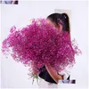 Decoratieve bloemen Kransen Natuurlijke vers gedroogde bewaard gebleven Gypsophila Panicata BABYS BEADE BOOMBOEKEN Geschenk voor bruiloftsfeest Dhnqo