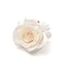 Torkade blommor 30 st 5 cm krökta kant rose konstgjorda siden blommhuvud bröllop dekoration diy födelsedag krans scrapbooking hantverk falska blommor 230111