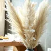 Dried Flowers 80cm Large Pampas Grass Bouquet Fluffy Floral Decoration Natural Plants DIY Craft Wedding Party Decorations 230111