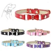 Colliers pour chiens 5 couleurs PU petits chiens nœuds papillon XS-M réglable couleur unie collier de chiot confortable Durable animaux fournitures accessoires