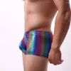 Caleçon en gros arc-en-ciel hommes Boxer sous-vêtements Sexy grand U convexe pénis poche mâle culotte taille basse boxeurs slips pour hommes