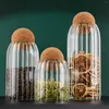 Opslagflessen snack display fles hoog borosilicaat glas duurzaam eenvoudige modieuze huizendecoratie ornamenten