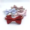 Dog Collars Pet Collar Bird Plaid Bow Cat Insert Buckle Model Chenery Chihuahua Small Medium-sized Accessories Supplies