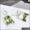Charm Dried Flower Earrings Creative Plant Dry Clover Earring Fashion Pressed Glass Earin Drop Delivery Jewelry Dhduk