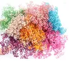 Fiori decorativi 400g Immortalità Real Babysbreath Bouquet conservato Eternal Fresh Disposizione fai da te Materiali floreali