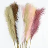 Flores secas 5 piezas Faux Pampas Grass grande 110 100 85 cm ramo de flores decoración artificial falsa tallos esponjosos altos decoración para sala de estar 230111