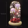 Fleurs décoratives préservées, couverture en verre frais, décoration de maison avec lumières, fleur éternelle, cadeau de noël, saint-valentin, créatif