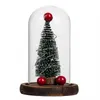 Christmas Decorations Mini Tree Display Glass Cover With Wooden Base USB Night Light Dome For Xmas Home